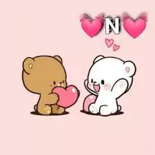 n dp pic